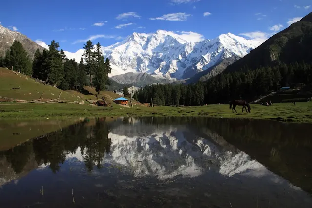 Fairy Meadows meadow in Fairy Meadows