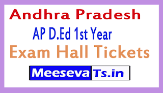 AP D.Ed 1st Year Exam Hall Tickets