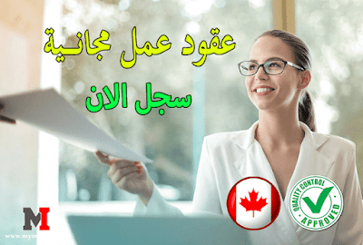 الهجرة الى كندا 2024 toronto immigration lawyers