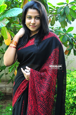 JYOTHY Telugu Movie Actress Pictures In Hot Saree 