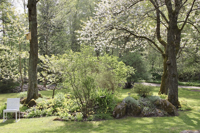 Spring blooming trees