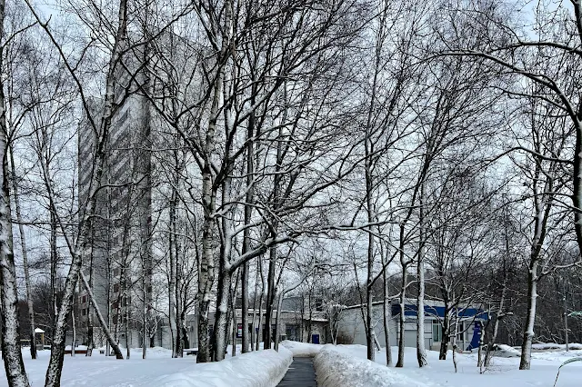 улица Академика Капицы, жилой дом 1986 года постройки