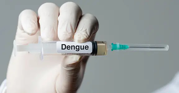 Dengue Fever Paragraph, (Dengue Test)