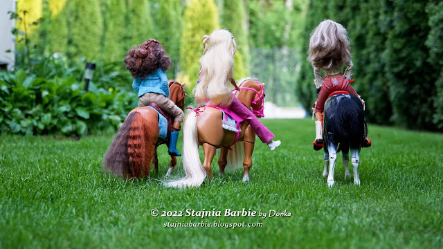 Play BIG horse and Barbie horses and dolls