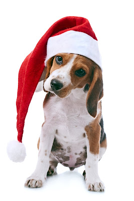 Perrito navideño para compartir en Navidad