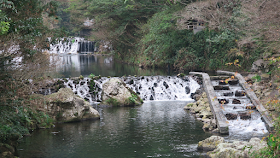 Visit to Cheonjiyeon Waterfall, Jeju 
