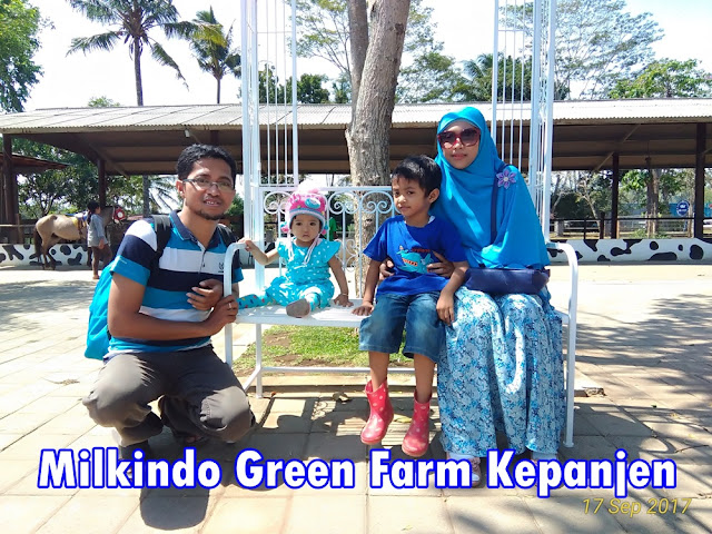 Milkindo Green Farm: Wisata Edukasi dan Petualangan Anak