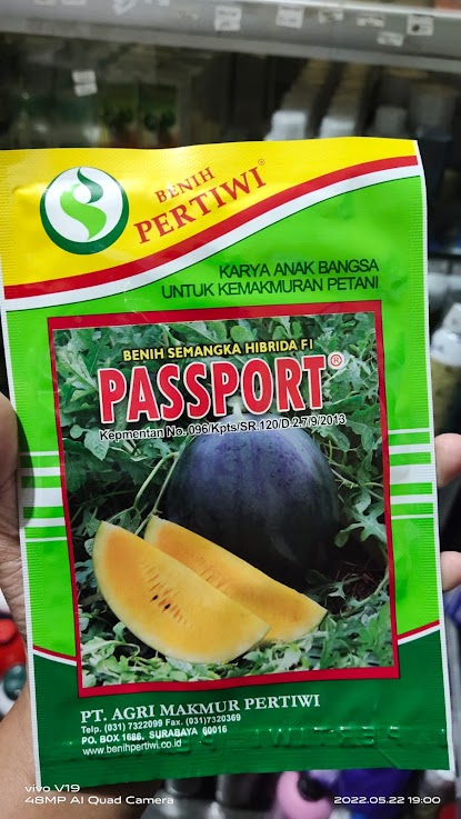 Jual Benih Semangka Kuning Hibrida Passport Palembang