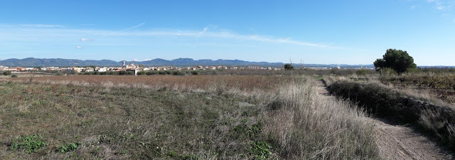 Prenafeta a Santes Creus GR-175 Ruta del Cister, panoràmica de El Pla de Santa  Maria des del Camí de Figuerola del Camp a El Pla de Santa Maria