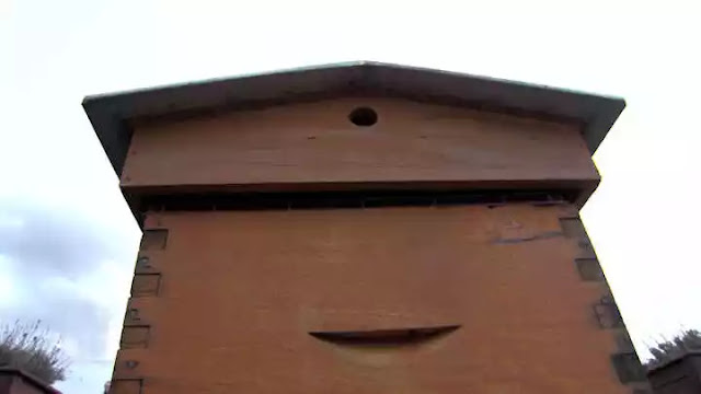 colmenas en la terraza de la Tour d'Argent