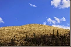 IMG_3037