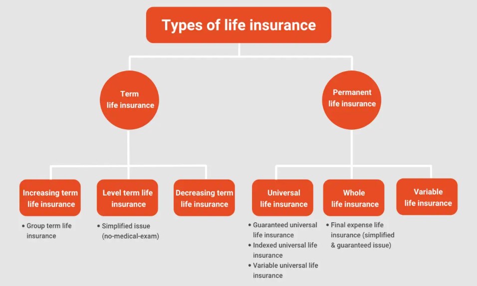 type of life insurance