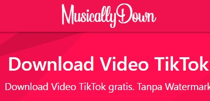 MusicallyDown Tempat Download Video Tiktok Tanpa Tulisan Tiktok