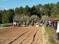 Els horts ecològics de la finca d'Eco Rebanyà