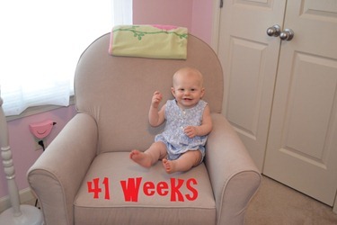 week 41