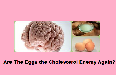 Are The Eggs the Cholesterol Enemy Again?