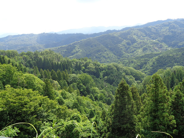 鎌倉山グリーンラインからの風景