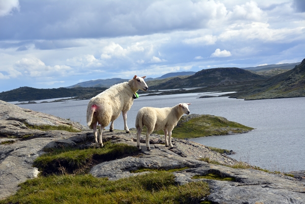 Iungsdalen Iungsdalshytta Tovika