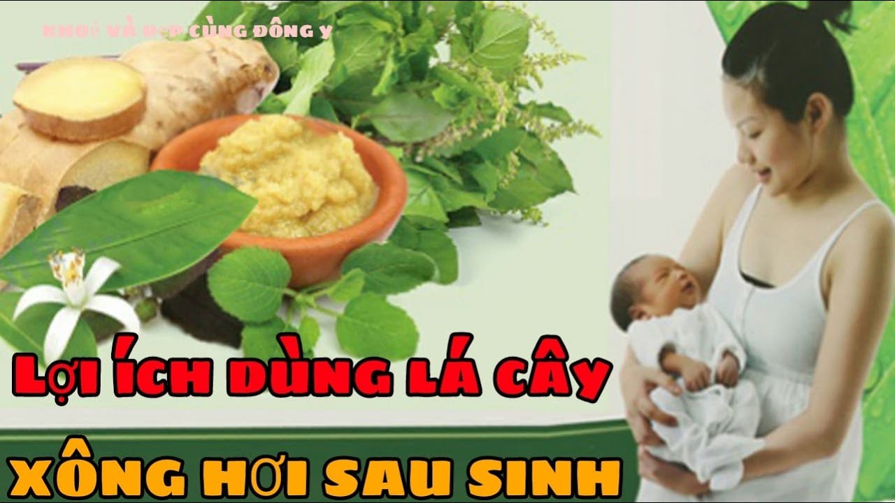 Hướng Dẫn Cách Xông Hơi Sau Sinh Bằng Lá Cây Hiệu Quả Nhất