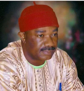 NNPP FOUNDER DECRIES APPELLATE COURT'S DECISION ON KANO GOVERNOR'S OUSTER