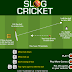 Slog Cricket