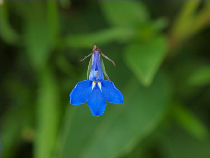 P7057091