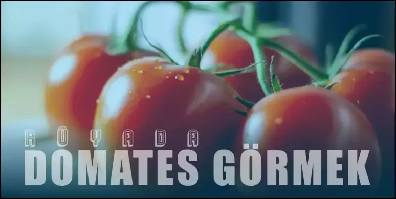 Rüyada Domates Görmek Ne Anlama Gelir?