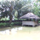 View album