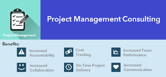 project management consultants