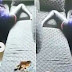 Shocking video of Nairobi Househelp Caught On Camera Rubbing Her Nunu Against The Sofa Set