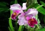 clip_image014