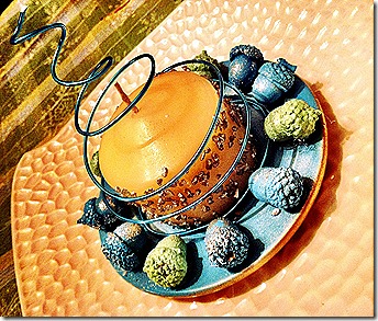 acorn 6