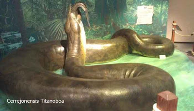 Cerrejonensis Titanoboa 