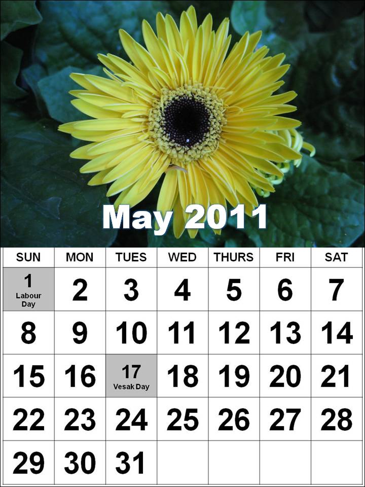 may calendar 2011 with holidays. 2010 calendar 2011 uk