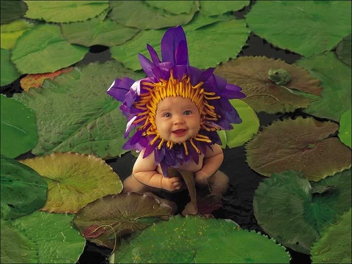 Funny Baby Desktop Wallpapers 2012