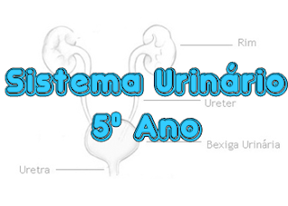 http://www.santabarbaracolegio.com.br/csb/csbnew/index.php?option=com_content&view=article&id=1880:sistema-urinario-5o-ano&catid=15:uni2