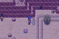 pokemon wish screenshot 7