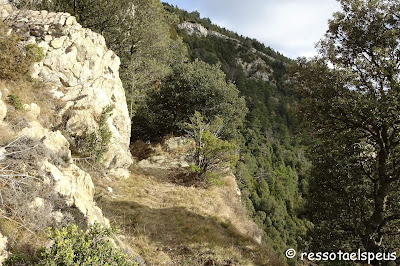 Puig de Sant Marc per les balmes d'Uja