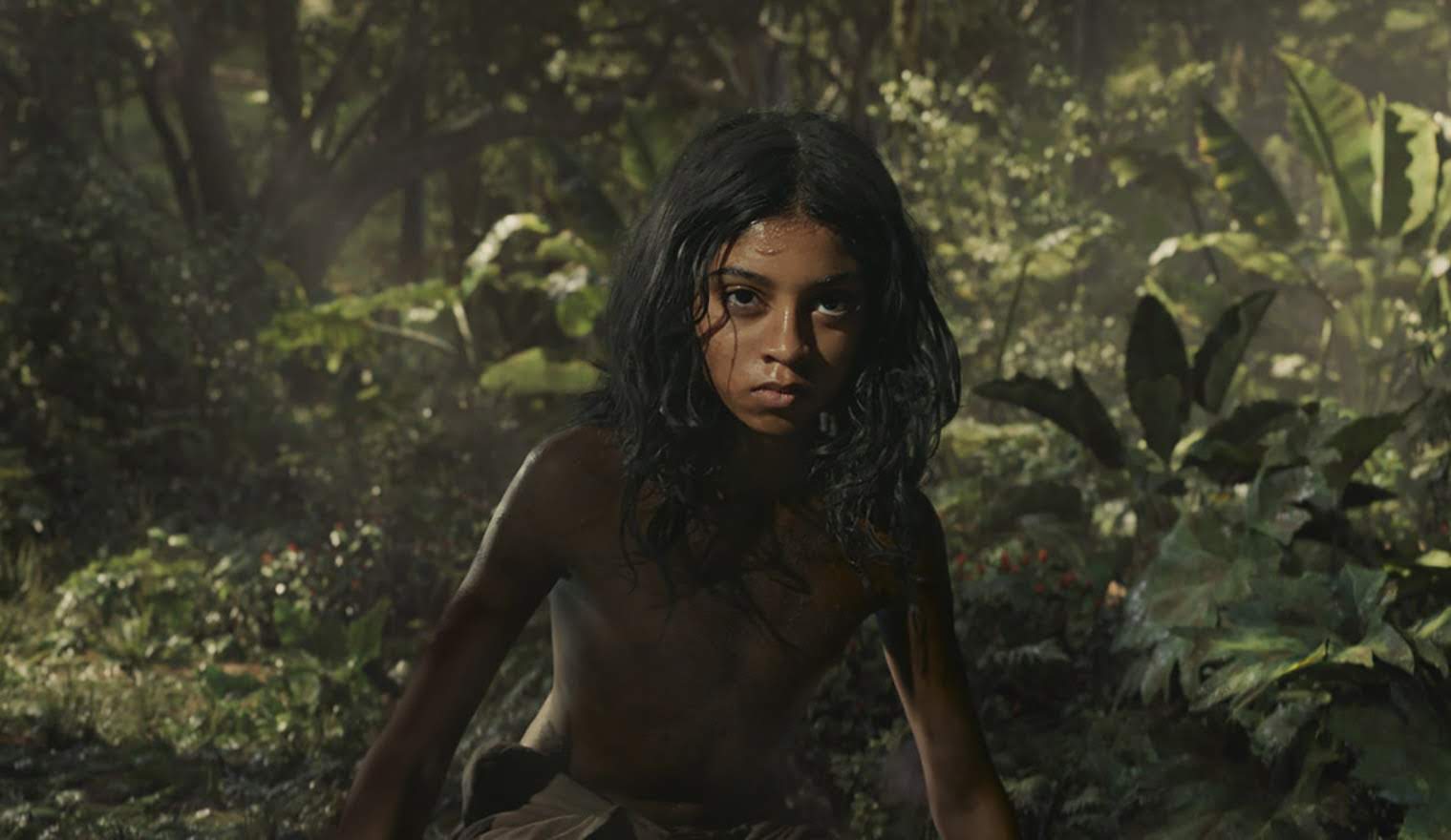Mowgli ディズニーの大ヒット映画 ジャングル ブック の原作を ワーナー ブラザースが当然 ダークに映画化した対抗作 モーグリ の予告編を初公開 Cia Movie News