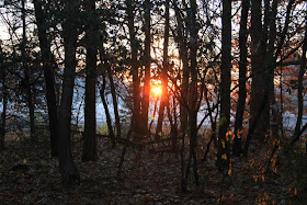  November sunrise over misty field