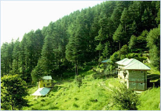 Mashobra Himachal Pradesh