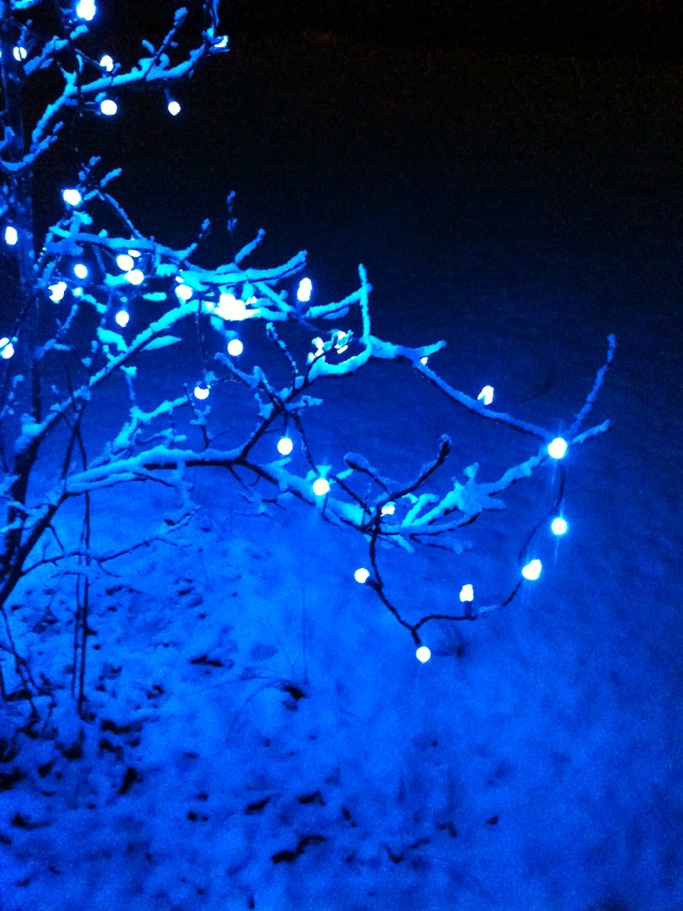 christmas snow lights