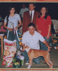 kera gana best in show cachorro feria floridablanca casa ganadera oct-2007