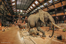 Paris - Muséum national d'Histoire naturelle - Grande Galerie de l'Évolution 