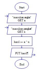 Algoritma & Pemrograman(Operasi pangkat) ~ Amri Febrianto