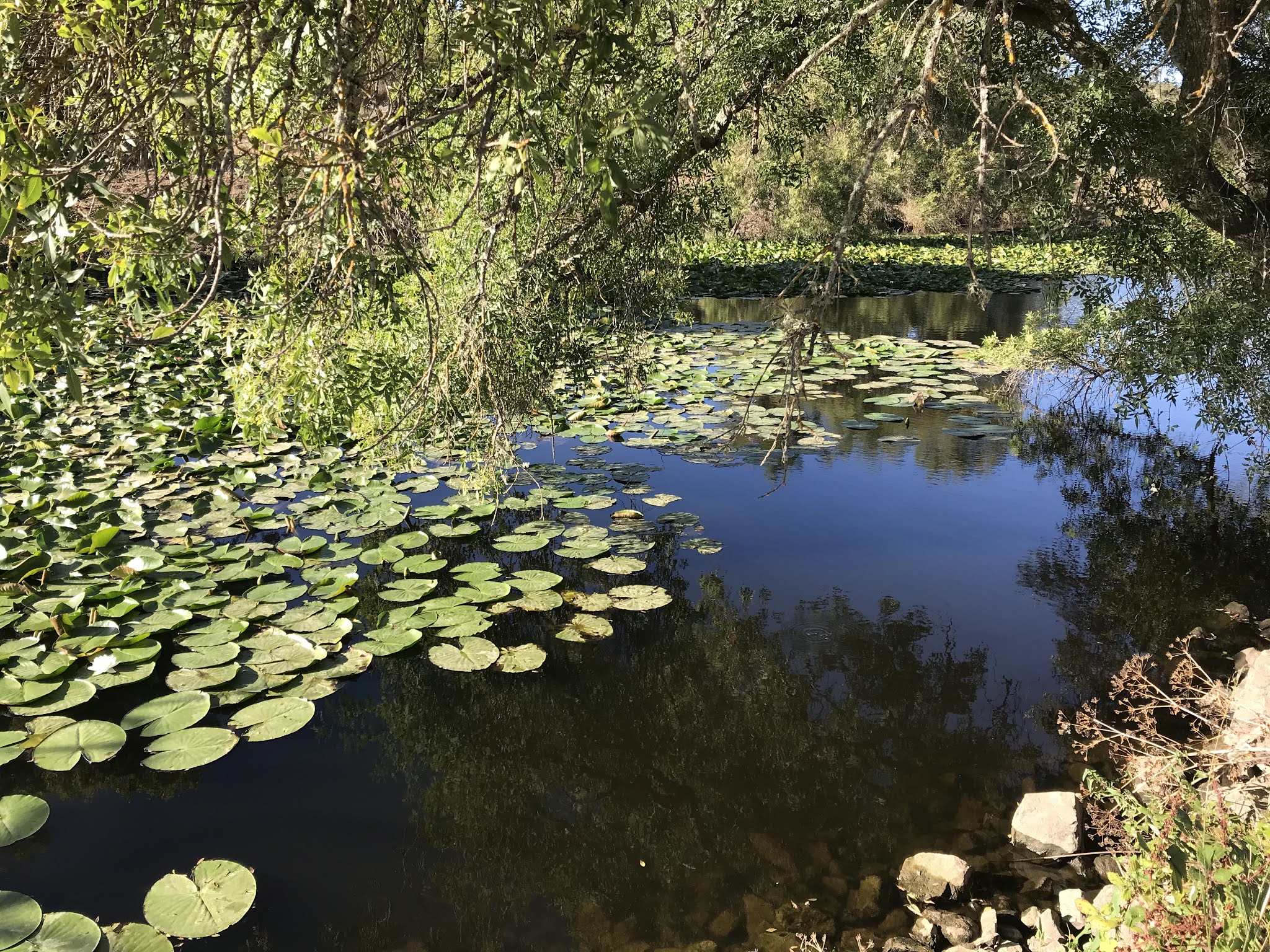 PR2 FAL, Rota da Água, Percurso Pedestre, Barragem de Odivelas, Alentejo, Ferreira, Portugal, Outdoors, Trekking