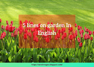 5 lines on garden In English