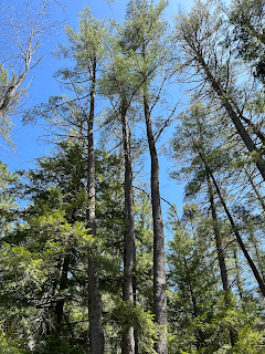 c.GoldintheClouds 2025 Sacandaga