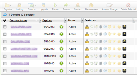 Parking domain name at GoDaddy-Domain details