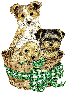 Cachorrinhos (237)